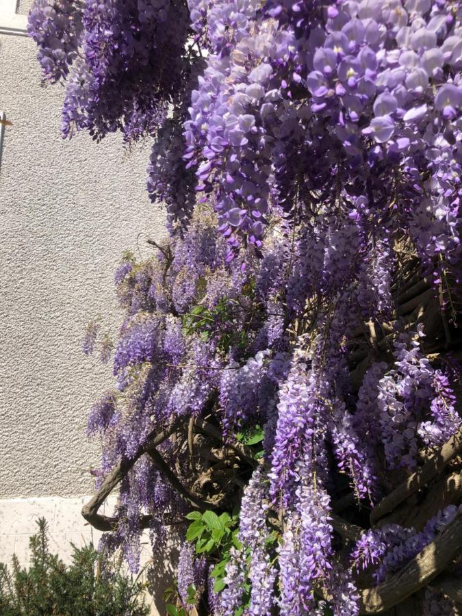 Maison Latour Bed & Breakfast Cholet Exterior photo